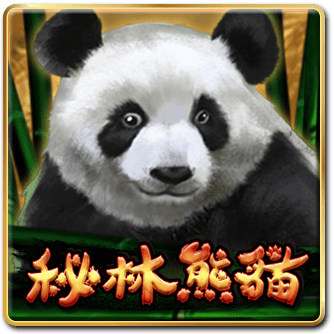 秘林熊貓